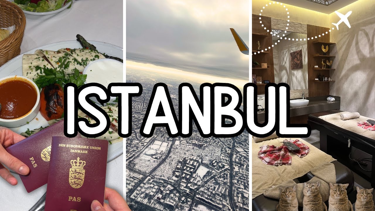 Vi møder hjemløse dyr! | ISTANBUL | Rejse vlog