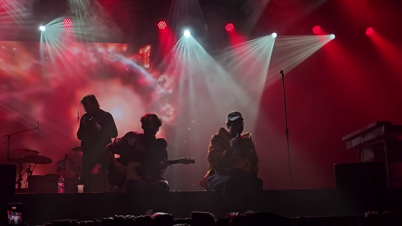 Elefánt -  Macskák - ELEFÁNT FARSANG // BARBA NEGRA