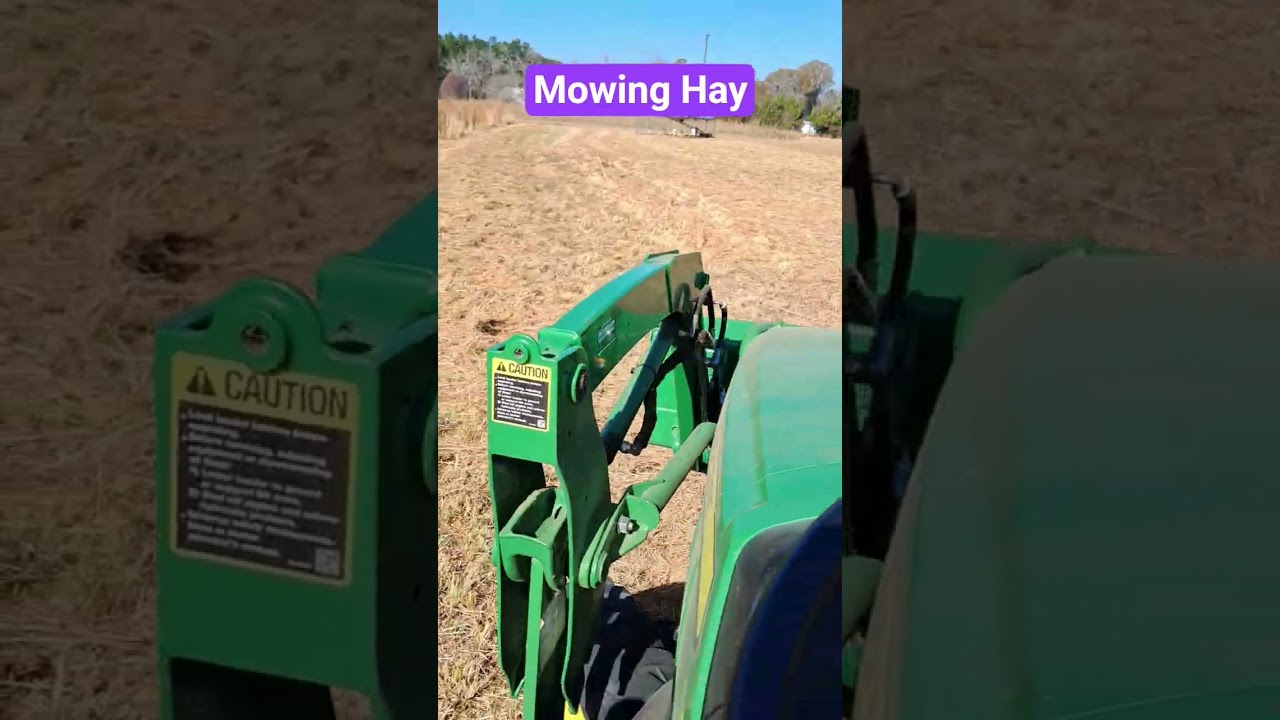 Mowing down a part of the field to use as animal bedding and compost. 
