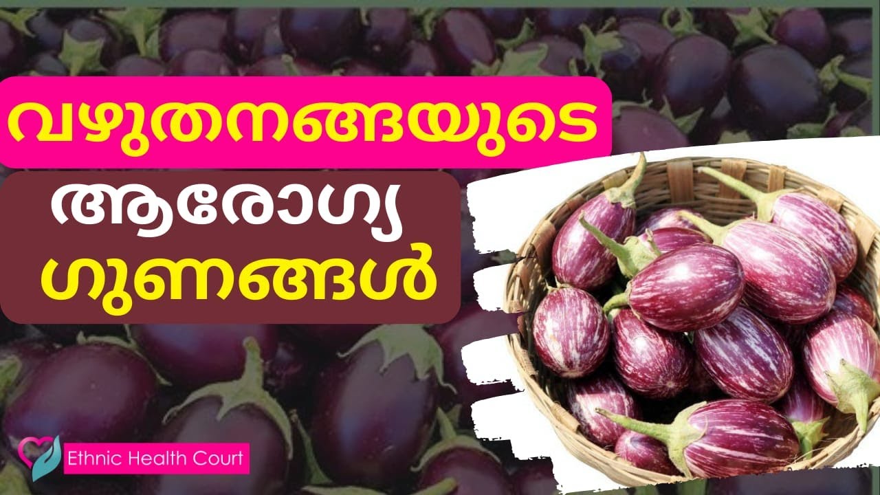 വഴുതനങ്ങ കഴിച്ചാൽ ഈ 10 ആരോഗ്യഗുണങ്ങൾ | Vazhuthananga | Ethnic Health Court