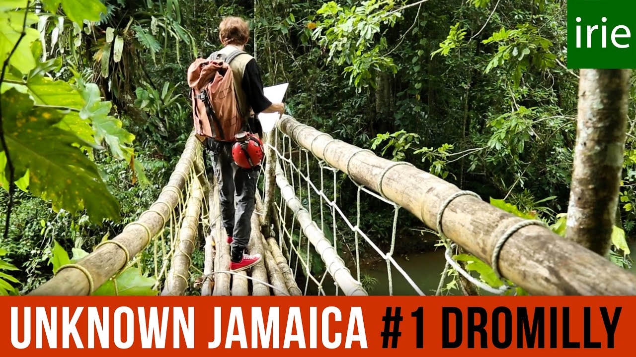 Secret Place Revealed. DROMILLY CAVE. Jamaica Video Guide.