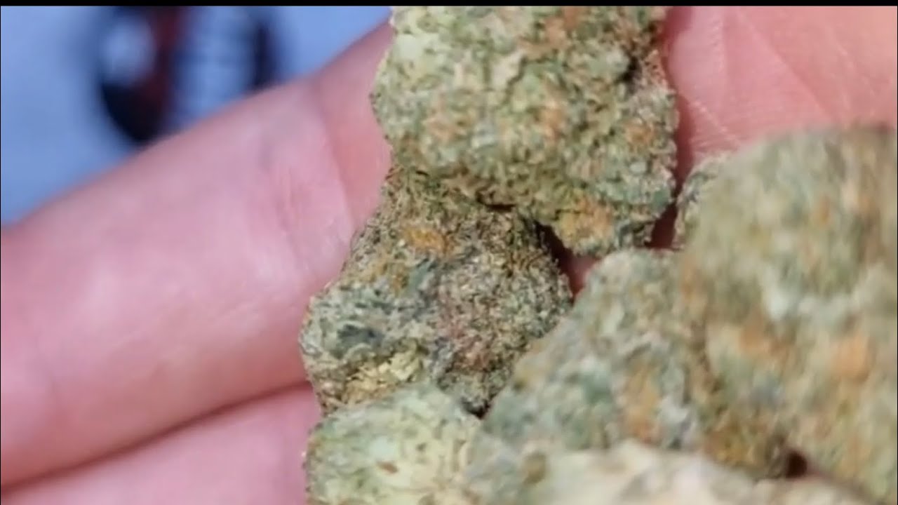 cali pack* Wagyu x work break strain review!!!!