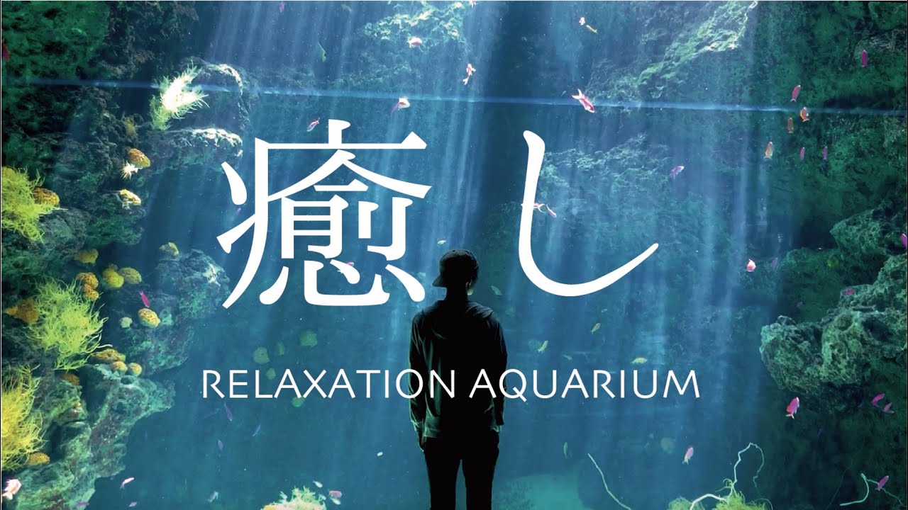 【見るASMR】癒しの水族館 －RELAXATION AQUARIUM－