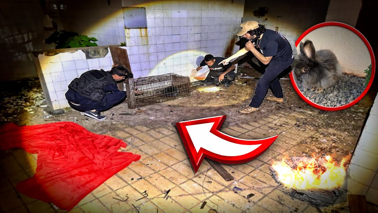 TIVE QUE SALVA A VIDA DELE….