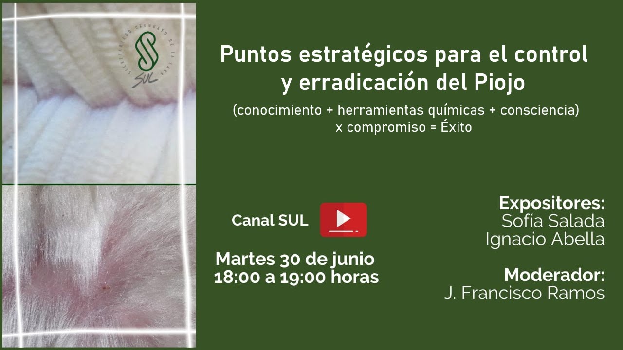 Puntos estratégicos para el control y erradicación del Piojo