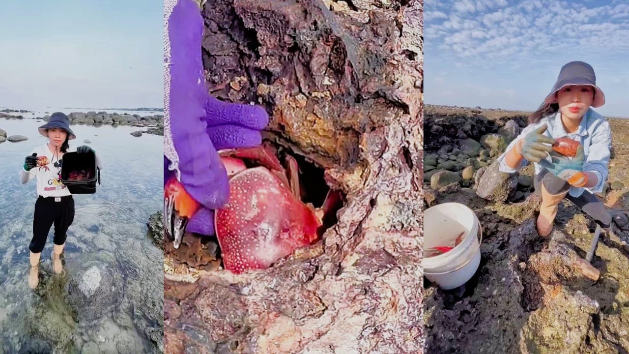 Catch a crab in a hole | Crab catching video 