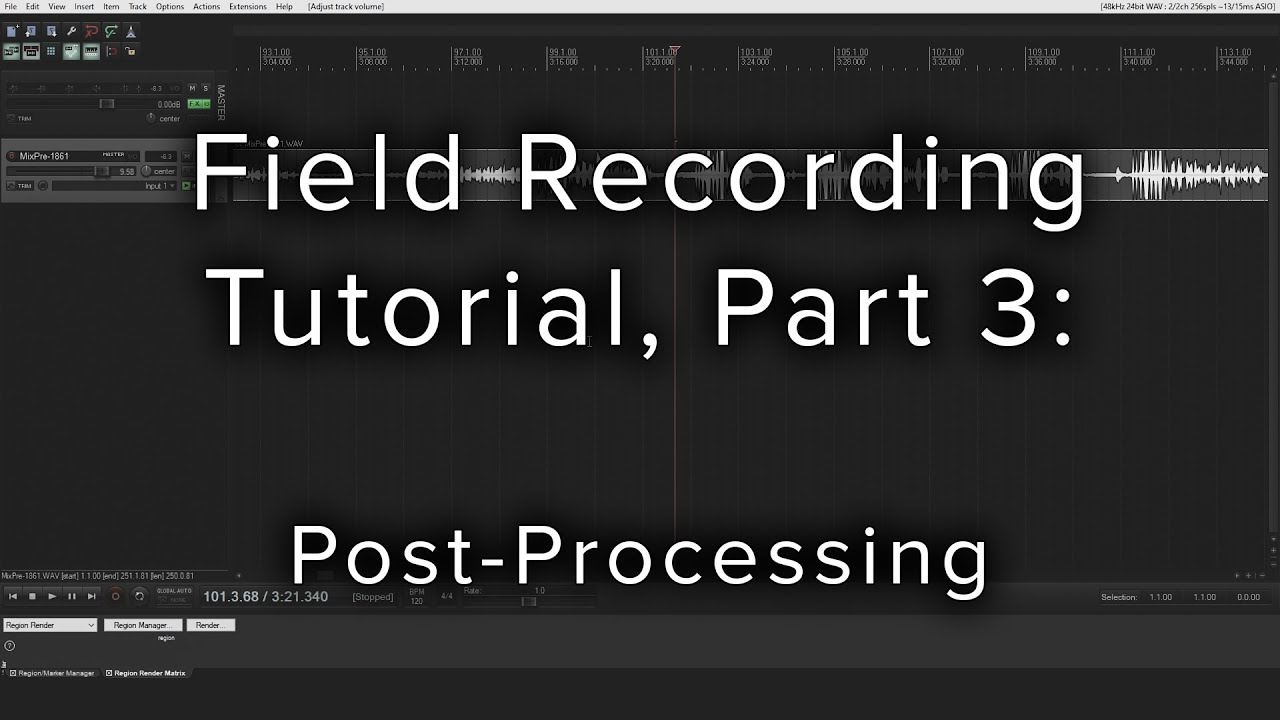 Field Recording Tutorial - Part 3: Post-Processing / Editing