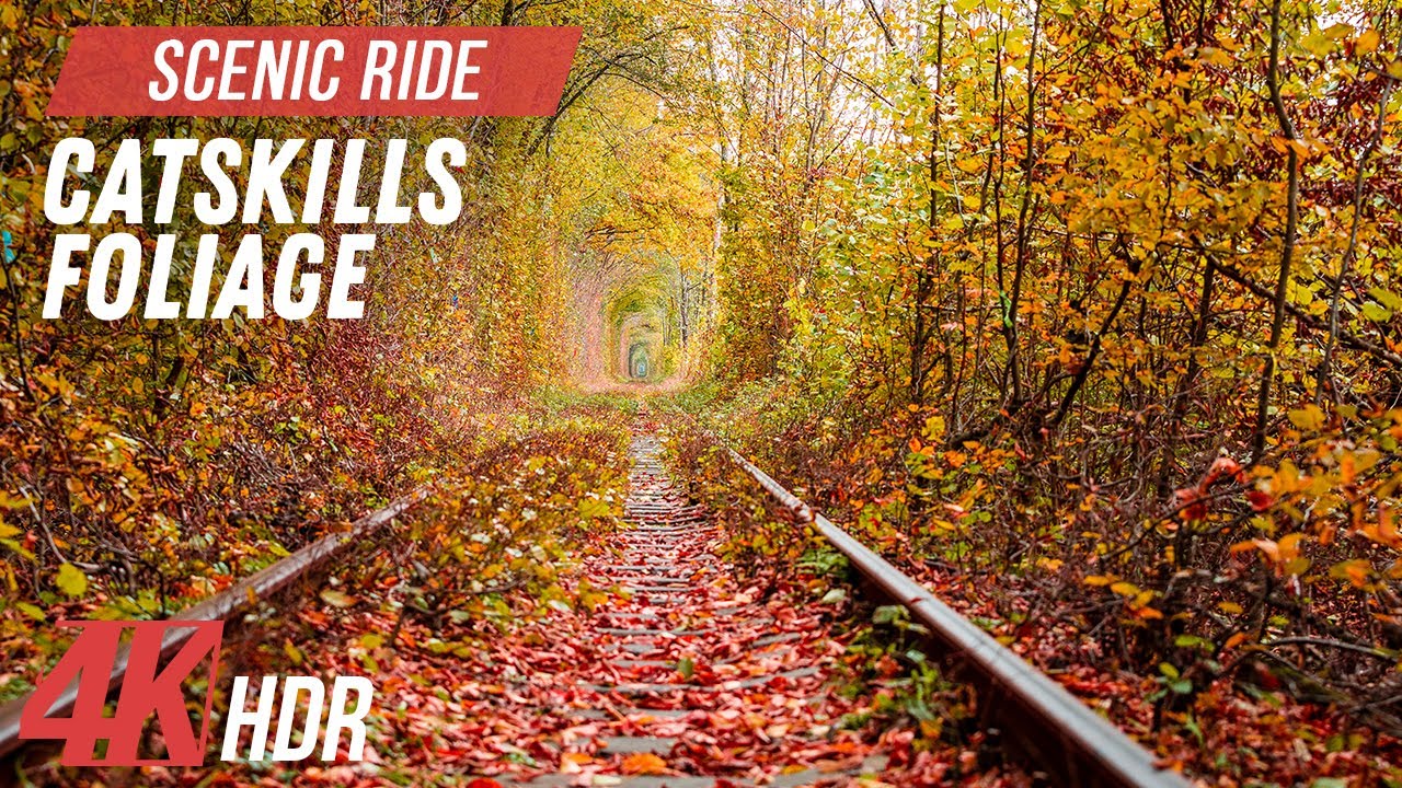 Virtual Rail Bike Ride 4K HDR | Catskills Fall Foliage Scenery for Indoor Cycling or Jogging
