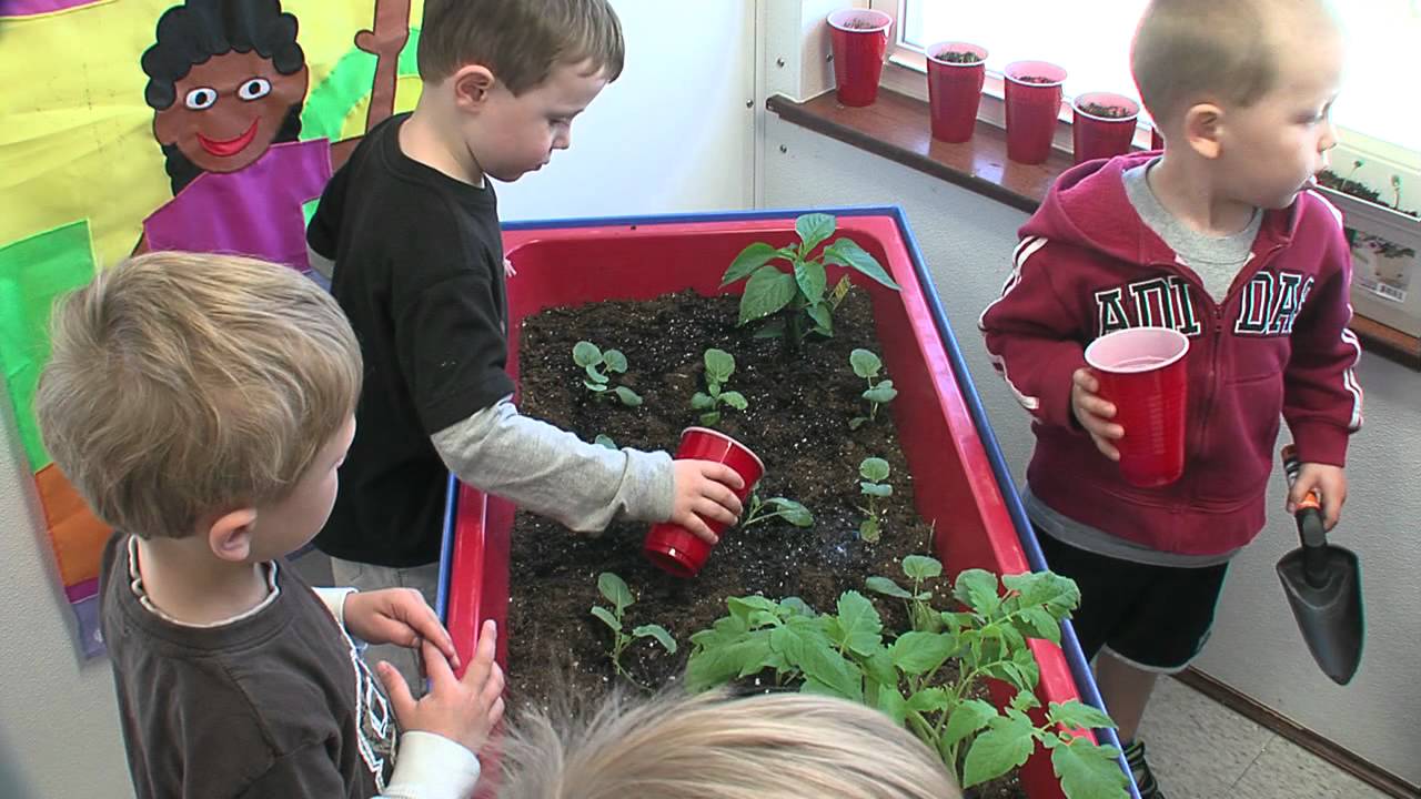 Frog Hollow Kid Campus North Liberty