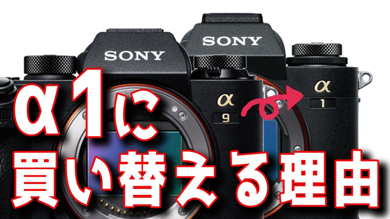 【SONY】α1に買い替える理由 α9を使っているのになぜ今α1に？ニコン Z9やキヤノン R3ではない理由も【ソニーa1】