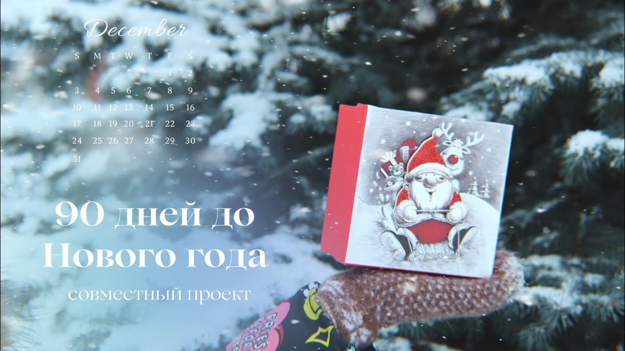 90 дней до Нового года | результаты розыгрыша | дикий свитер | распаковка адвента
