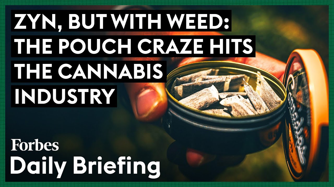 Zyn, But With Weed: The Pouch Craze Hits The Cannabis Industry