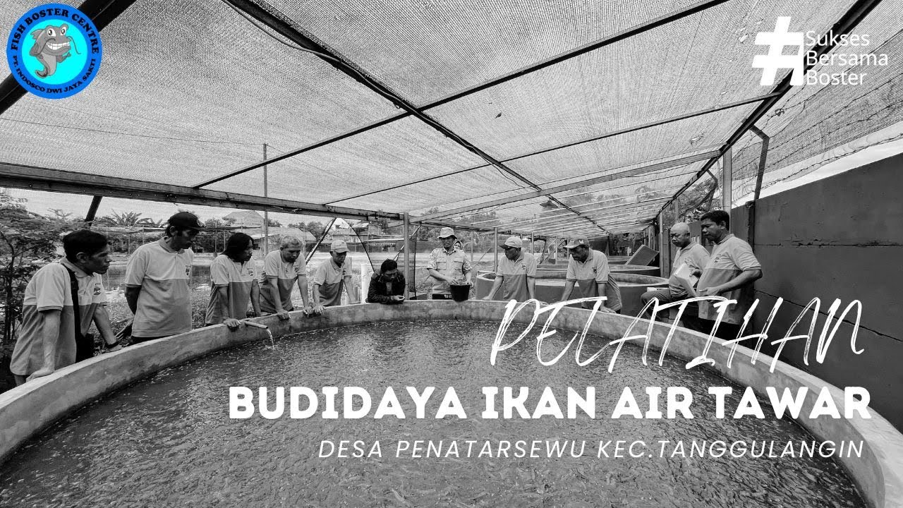 Pelatihan Budidaya Ikan Air Tawar Desa Penatarsewu, Kec. Tanggulangin Di P2MKP Fish Boster Centre