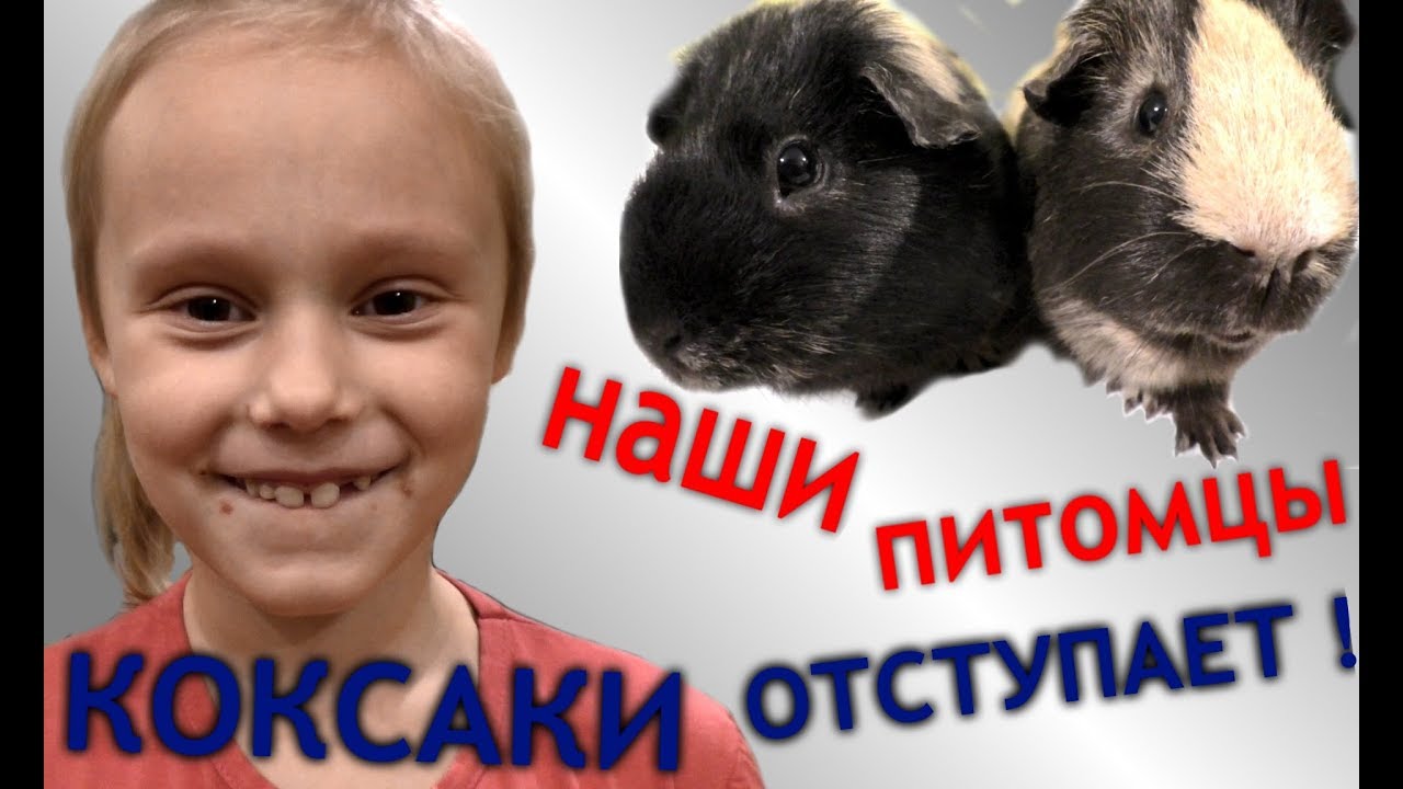 КОКСАКИ отступает 👪 наши питомцы 🙉 купила Насте сапоги 👢 ЗАДАВАЙТЕ МНЕ ВОПРОСЫ