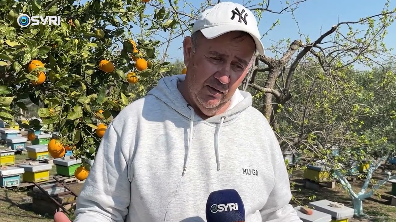 Bletaria drejt modernizimit në vend, kryhet me sukses eksperimenti i ndarjes