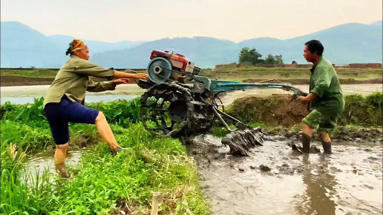 Traditional Farming with a Plowing Tractor by Farmers