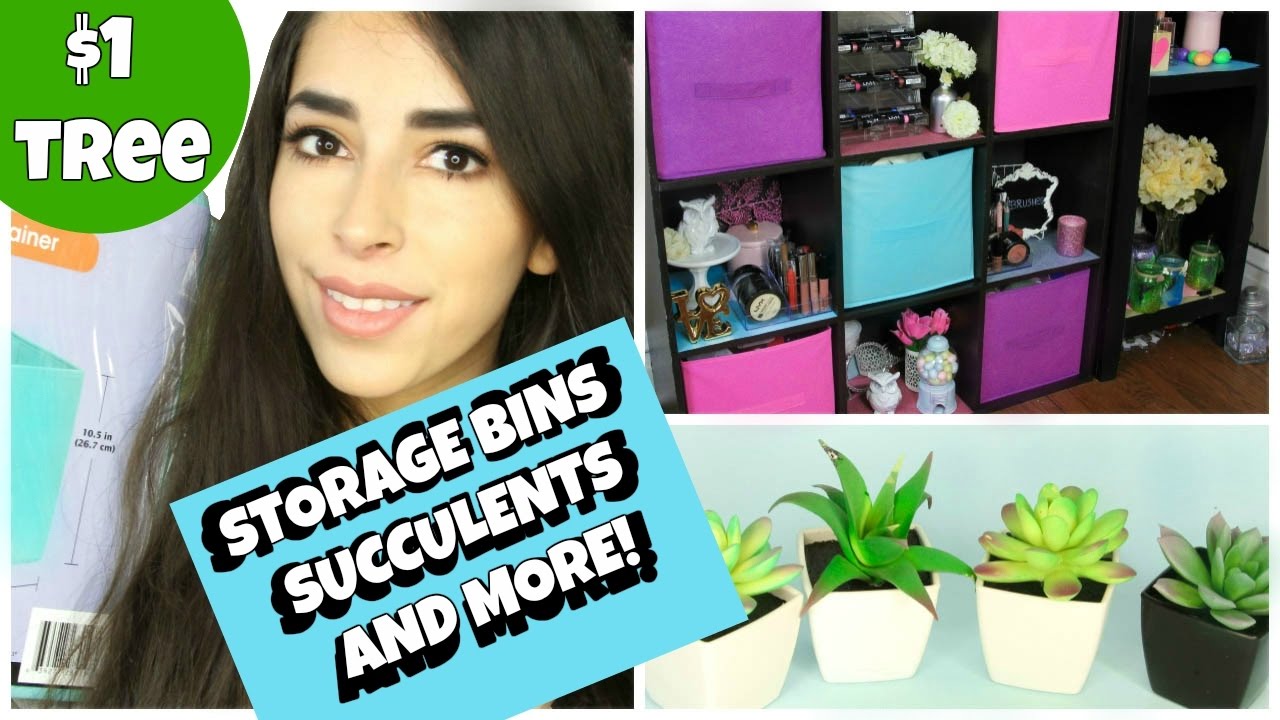 DOLLAR TREE HAUL 2017 NEW ITEMS