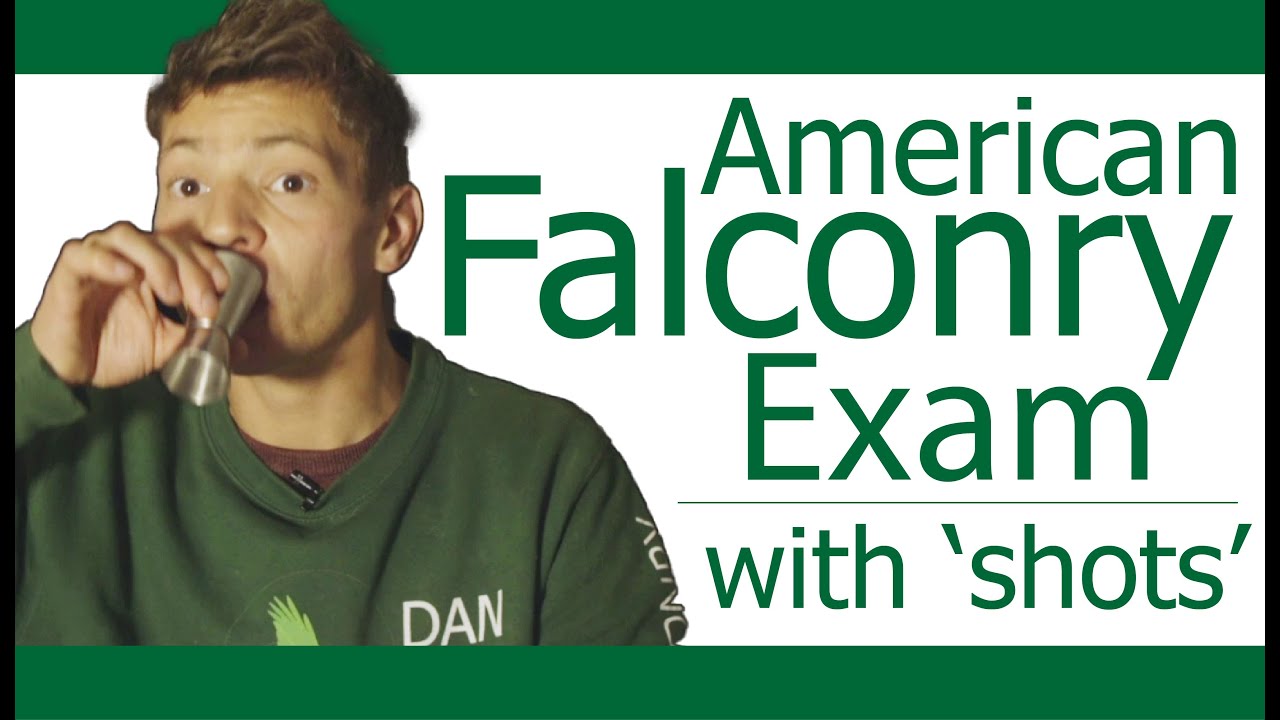 English Falconer Attempts American Falconry Exam Part 4