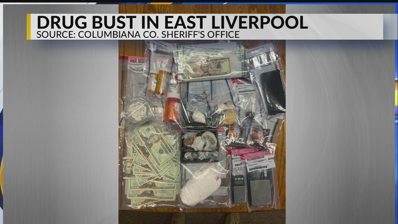 Task force recovers suspected drugs in 2 recent raids