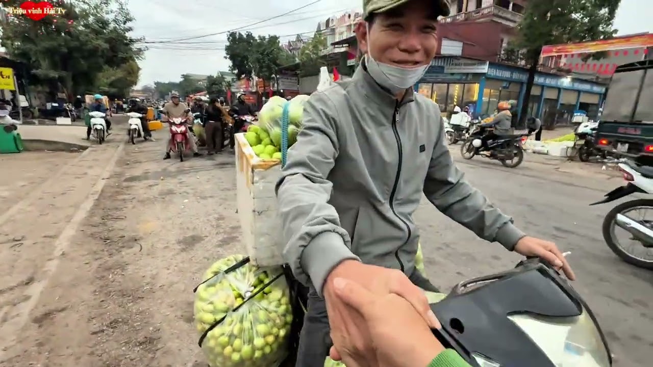 Cập Nhật Giá Táo tại Biển Động Bắc Ninh #caygionguytin  #caytaonohoa 