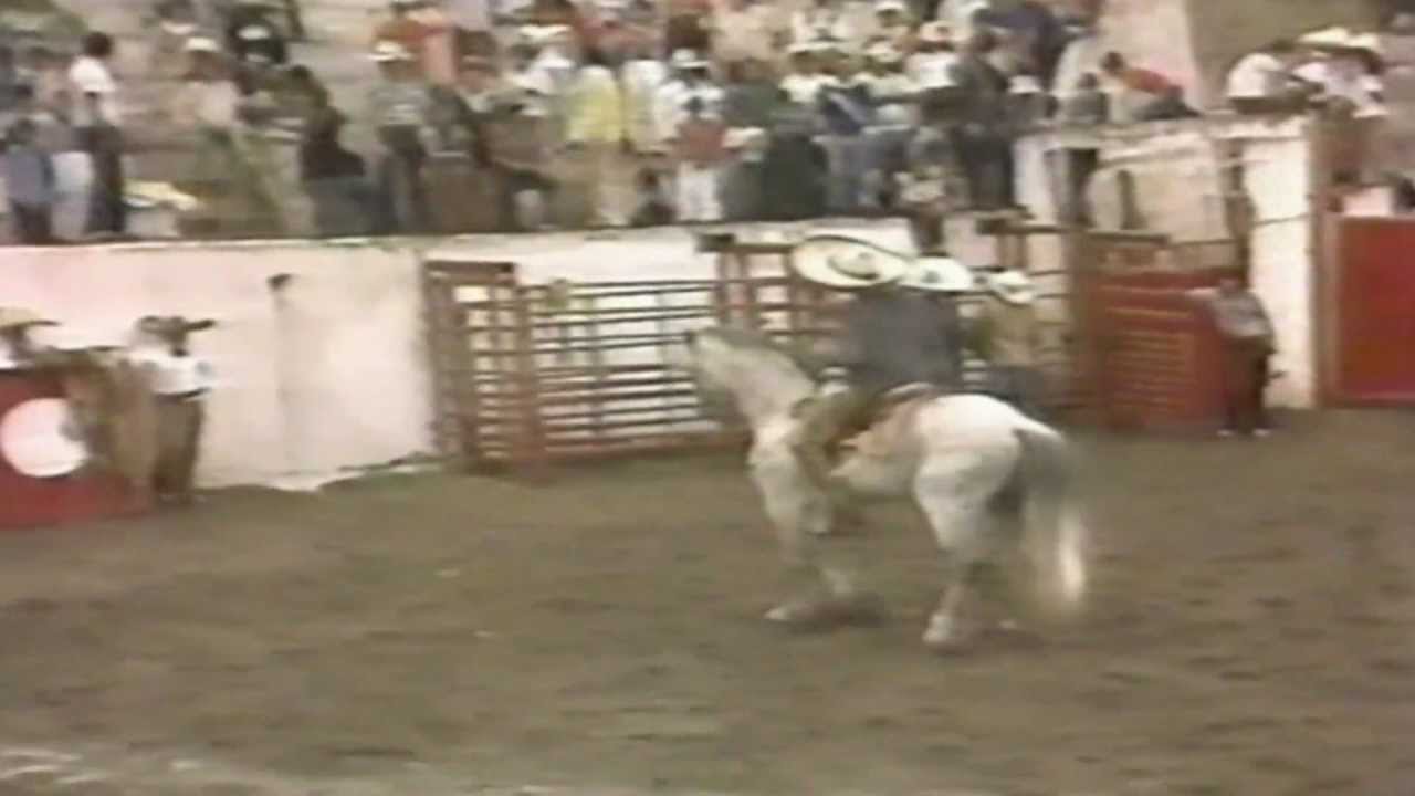 Pepe Aguilar (joven) 
