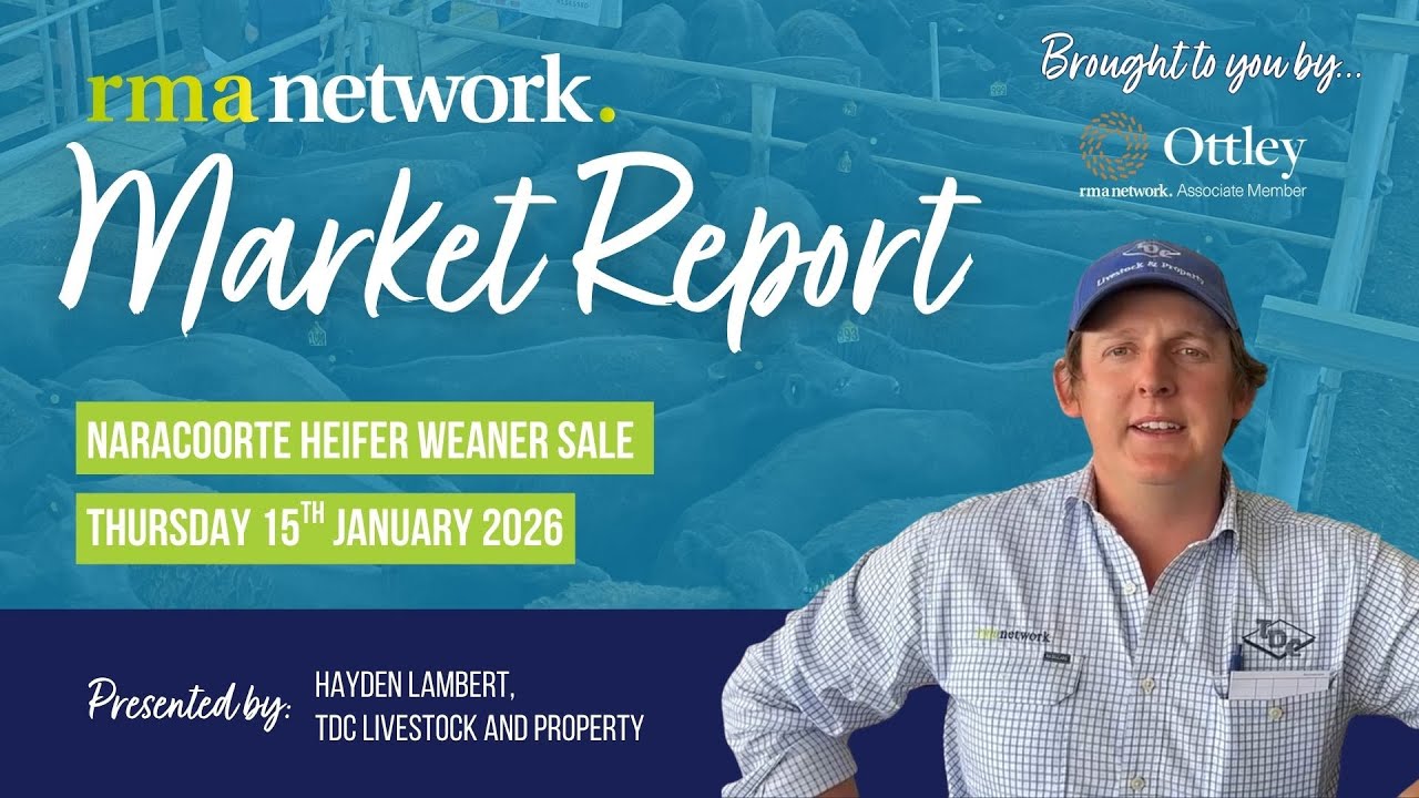 Naracoorte Heifer Weaner Sale - Thursday 15th January 2026