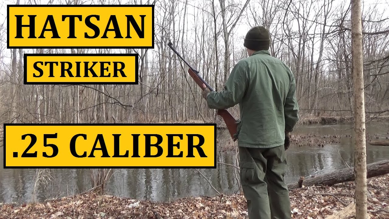 Hatsan 1000X Striker .25 Caliber Pellet Rifle ($130) Review