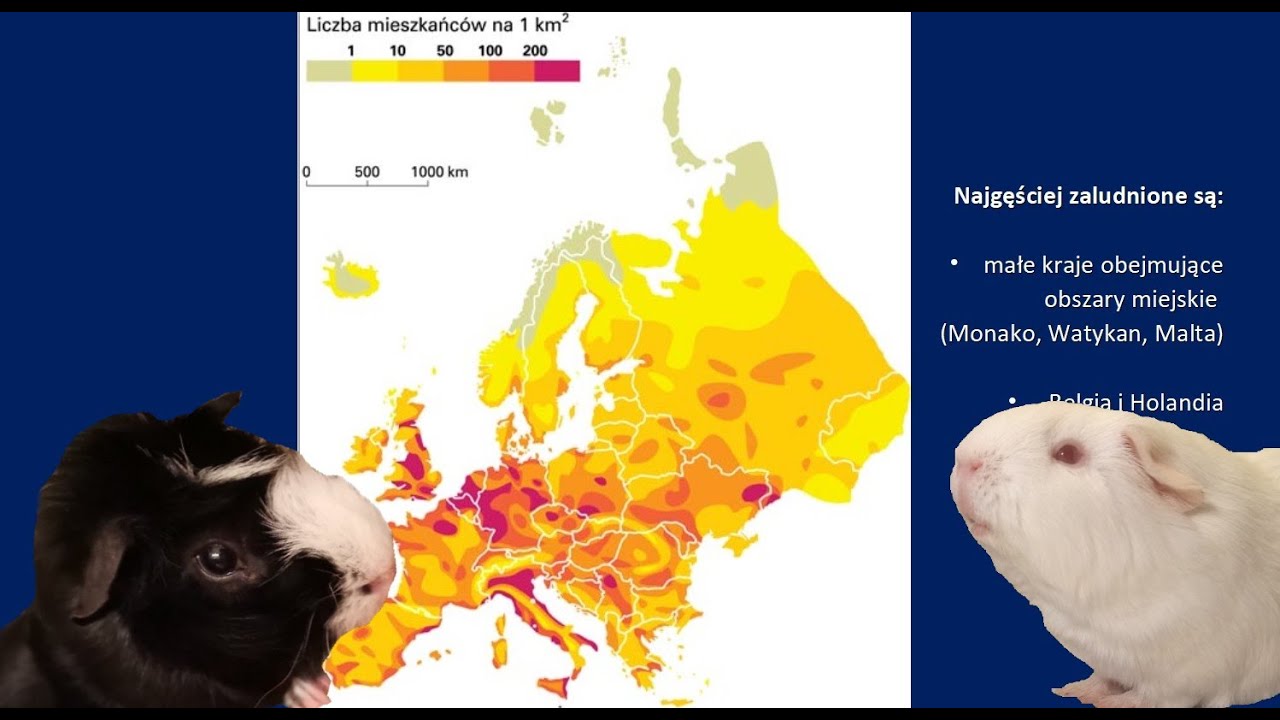 Rozmieszczenie ludności w Europie i starzenie się społeczeństw (geografia - lekcja online klasa 6)