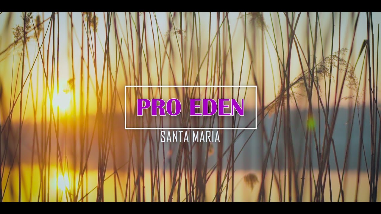 Zespół muzyczny Pro Eden-