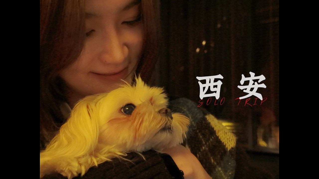 【流浪中国】｜Solo Trip｜EP.20 西安是小猫小狗和小麦味儿的｜中国陕西西安