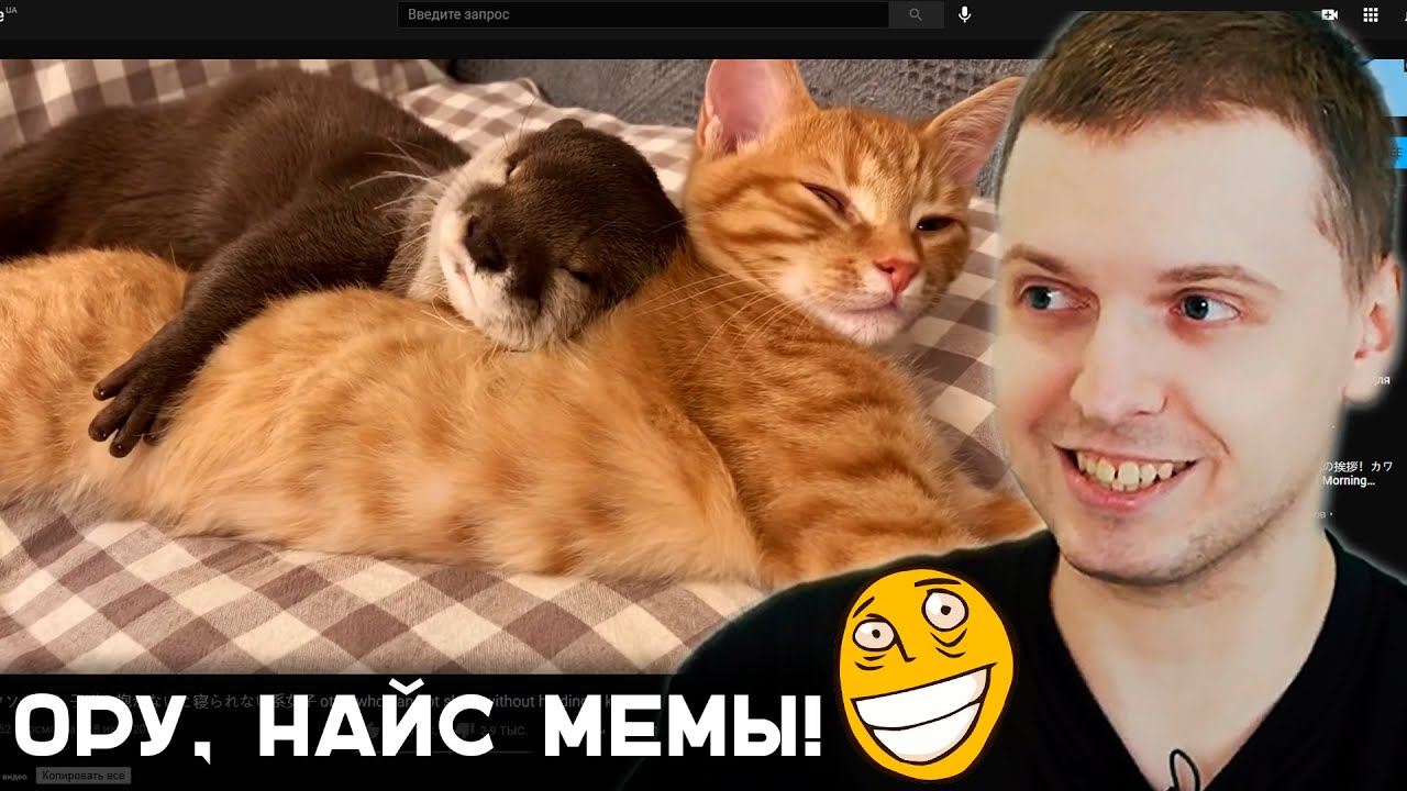ПАПИЧ  СМОТРИТ UNUSUAL MEMES COMPILATION V72!