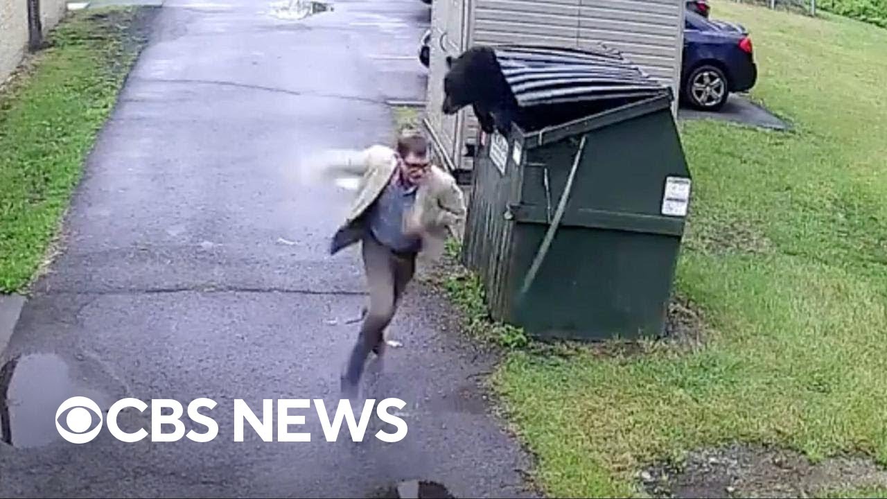 Principal gets startled after finding bear in school dumpster