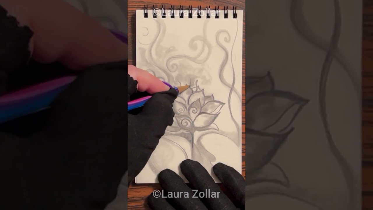 🪷 Lotus Flower 🪷 Drawing Short by Artist Laura Zollar