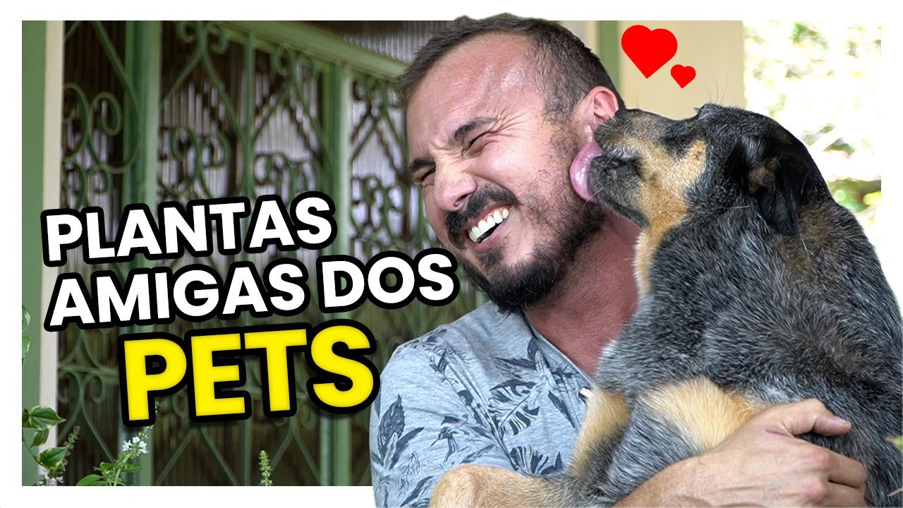 10 PLANTAS amigas dos PETS e CRIANÇAS