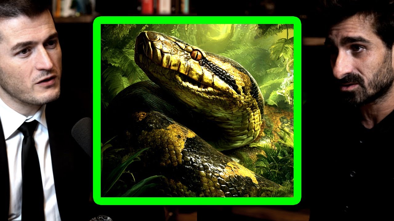 Why anacondas are apex predators | Paul Rosolie and Lex Fridman