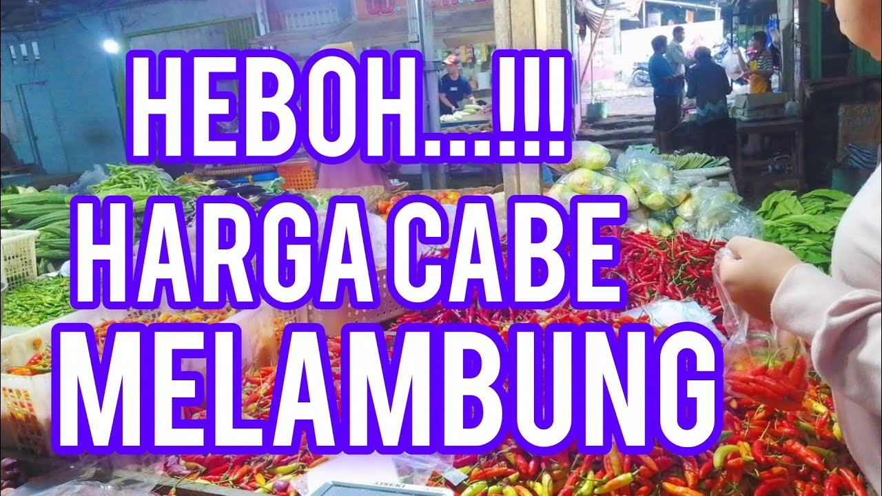 HARGA CABE HARI INI , 7 MARET 2026