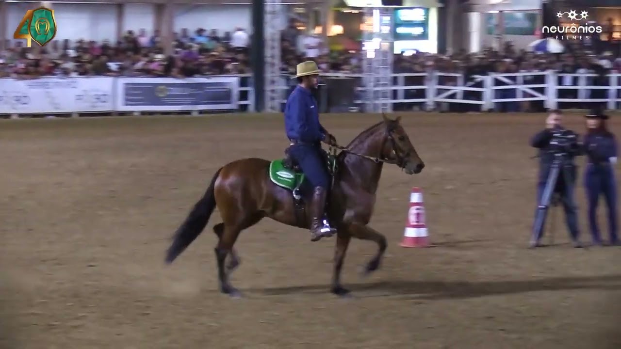 Revolta Tandy, Campe&atilde; Nacional de Marcha 2023