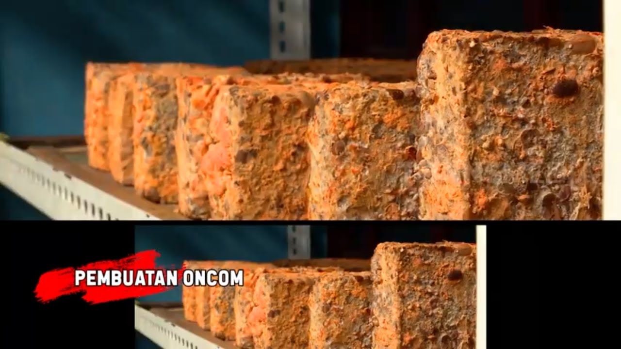 Kepoin Proses Pembuatan ONCOM | RAGAM INDONESIA (08/12/21)