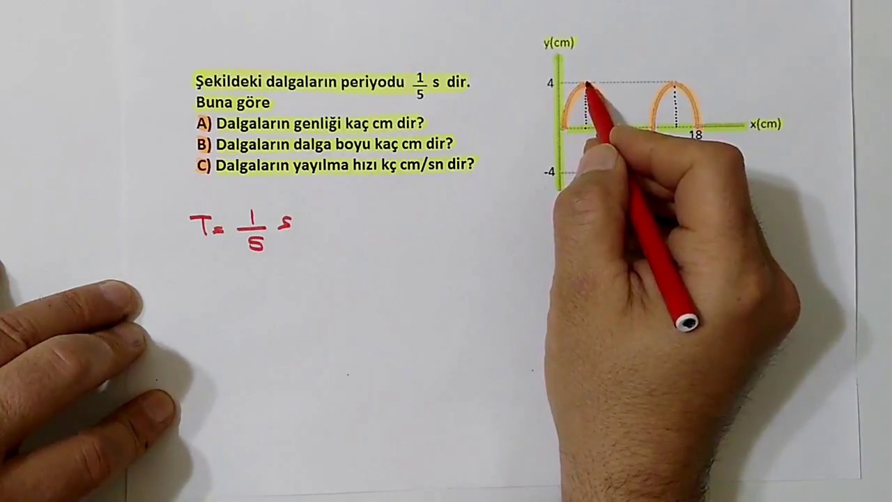 Yay dalgaları (Dalgalar 1)
