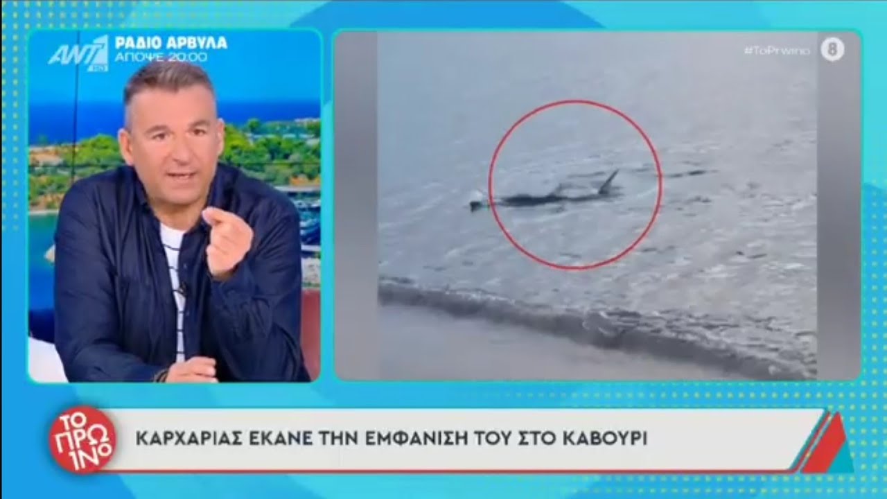 Καρχαρίας στο Καβούρι, περιμένει τον Γιώργο Λιάγκα, να πάει να κάνει μπάνιο.