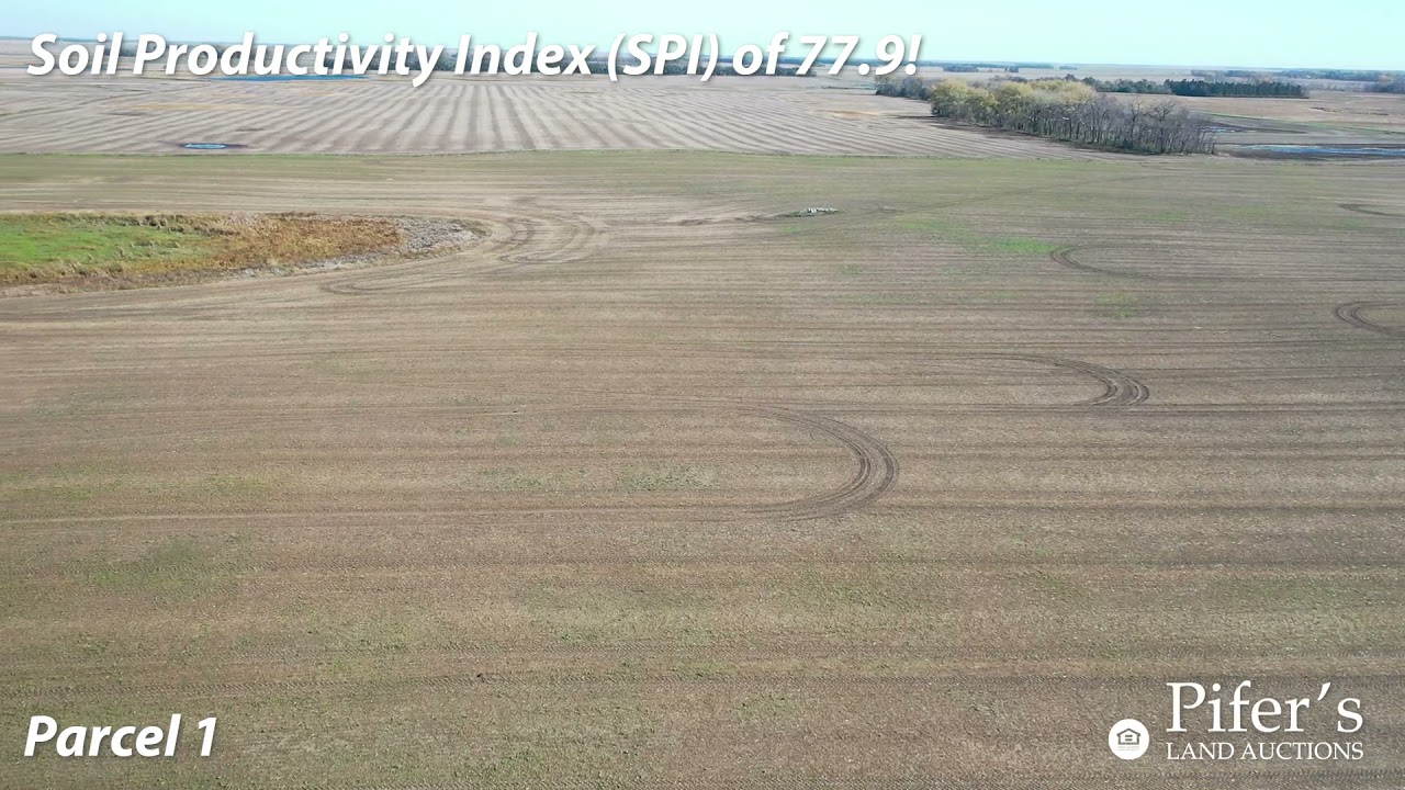 320 +/- Acres - LaMoure County, ND