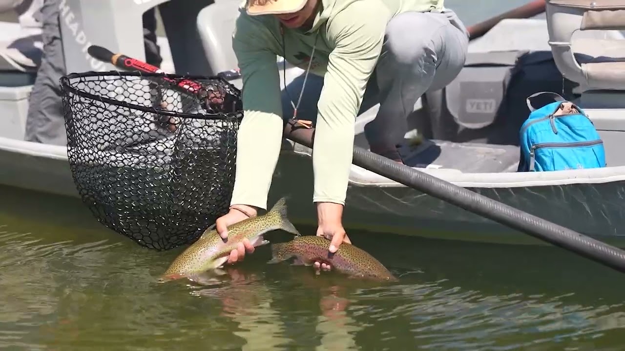 Fly Fishing for huge trout on the San Juan River!