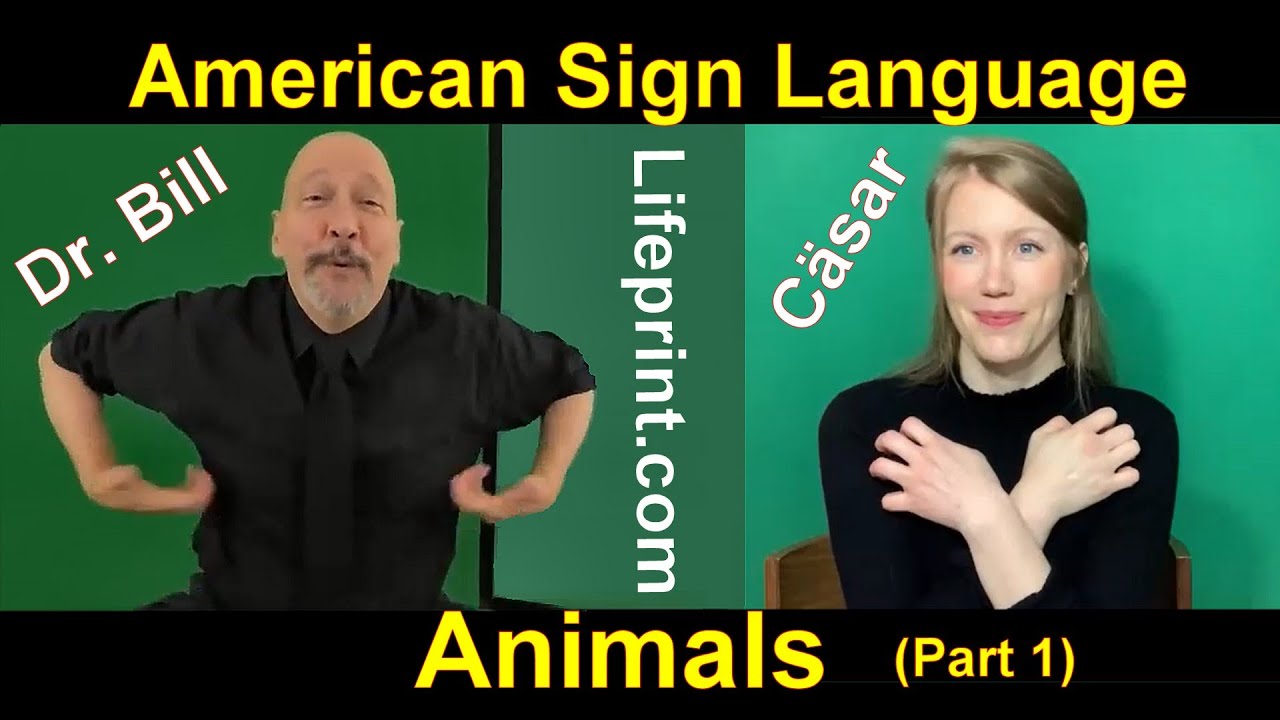Animal Signs (01) American Sign Language (ASL) Bill Vicars with Cäsar Jacobson (Lifeprint.com)