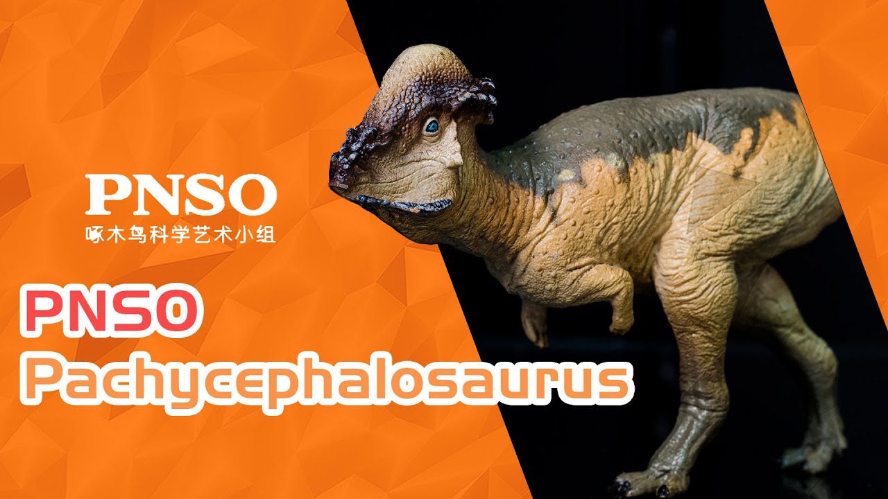 PNSO Pachycephalosaurus - Jurassic Brazil Collection