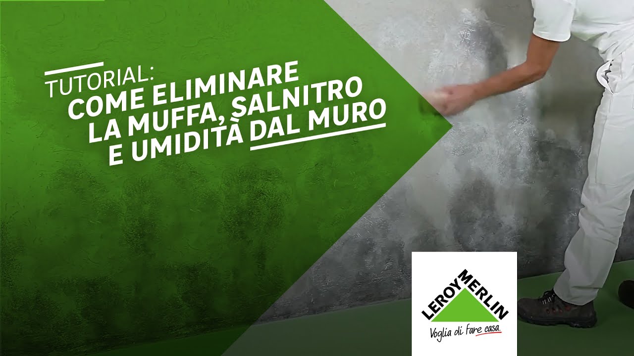 Come togliere la muffa dal muro e trattare salnitro e umidità | Leroy Merlin