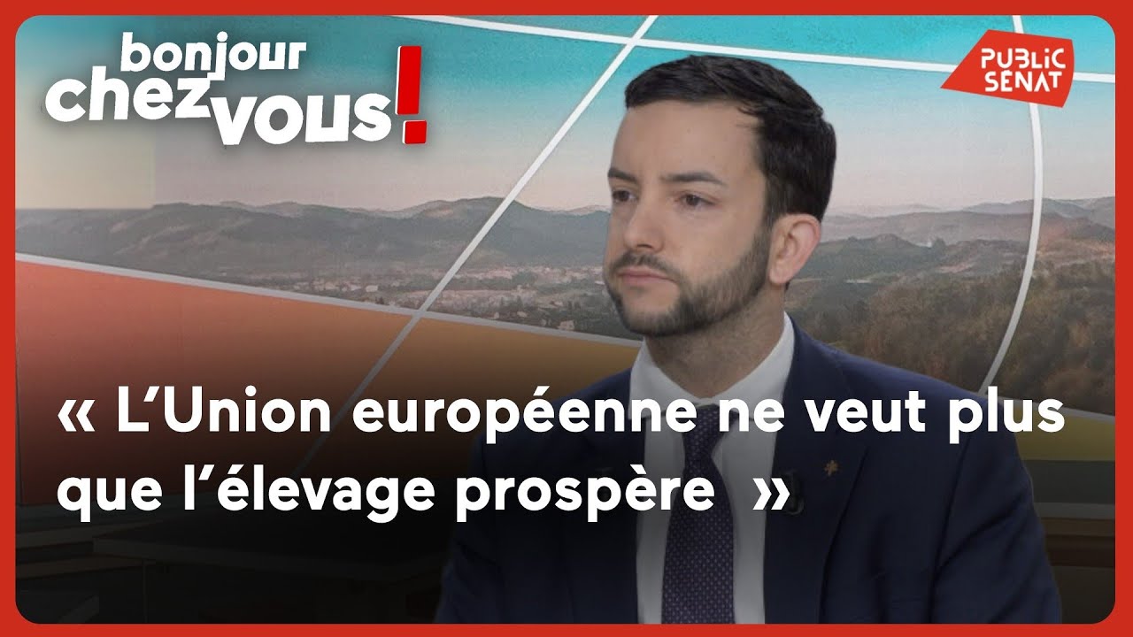 Jean-Philippe Tanguy : « L’Union européenne ne veut plus que l’élevage prospère »