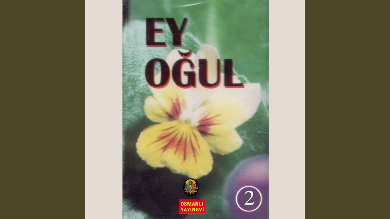 Ey Oğul 2