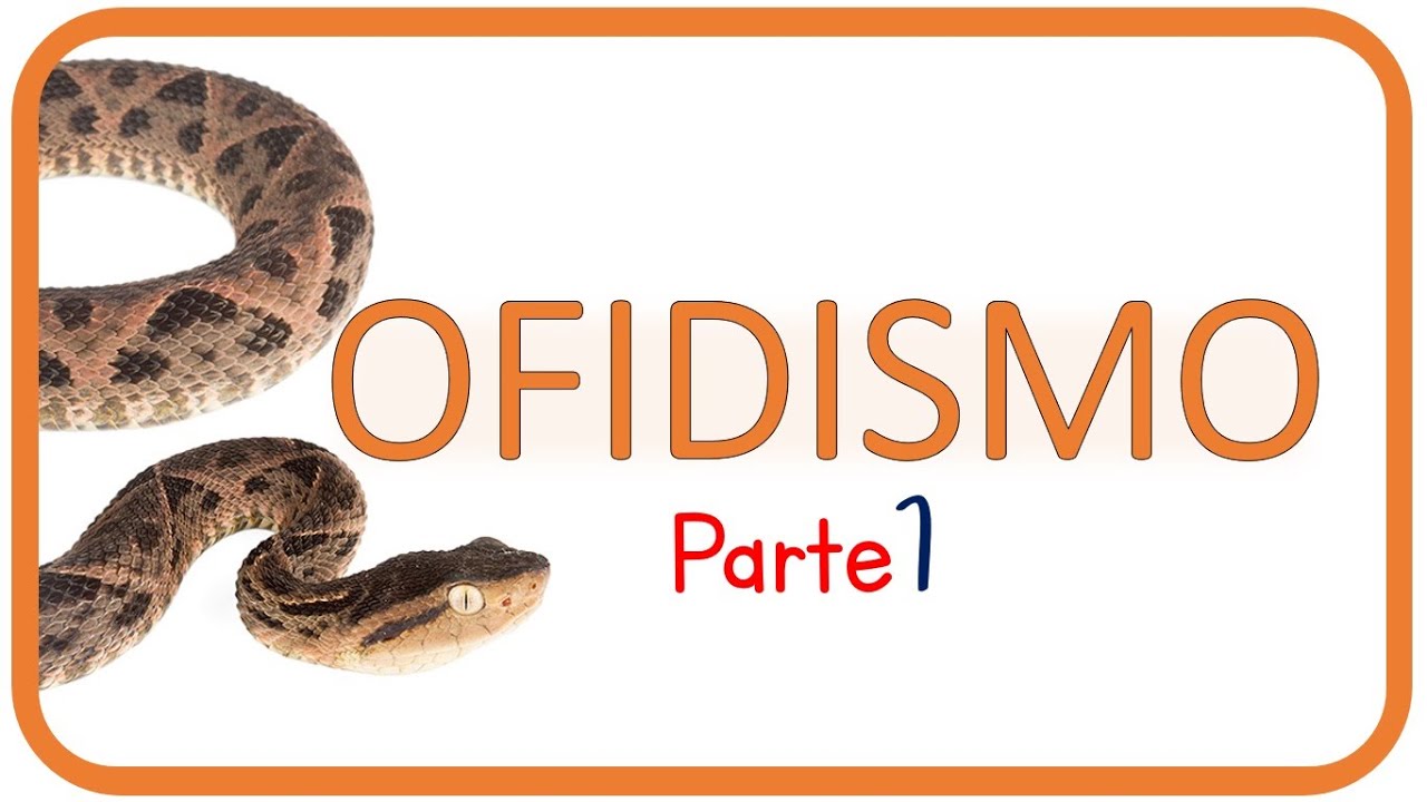 Mordeduras por serpientes [ Ofidismo ]  (PARTE 1)