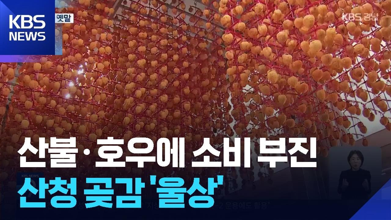 잇따른 재해…산청 곶감 소비 부진 울상 / KBS  2025.10.02.