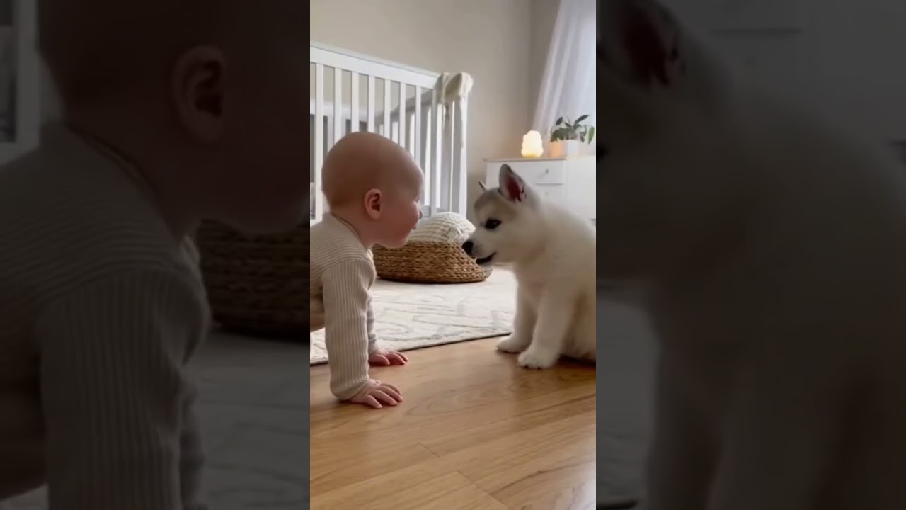 Baby Has the Cutest Conversation with a Puppy! | Adorable Baby and Dog Moment 